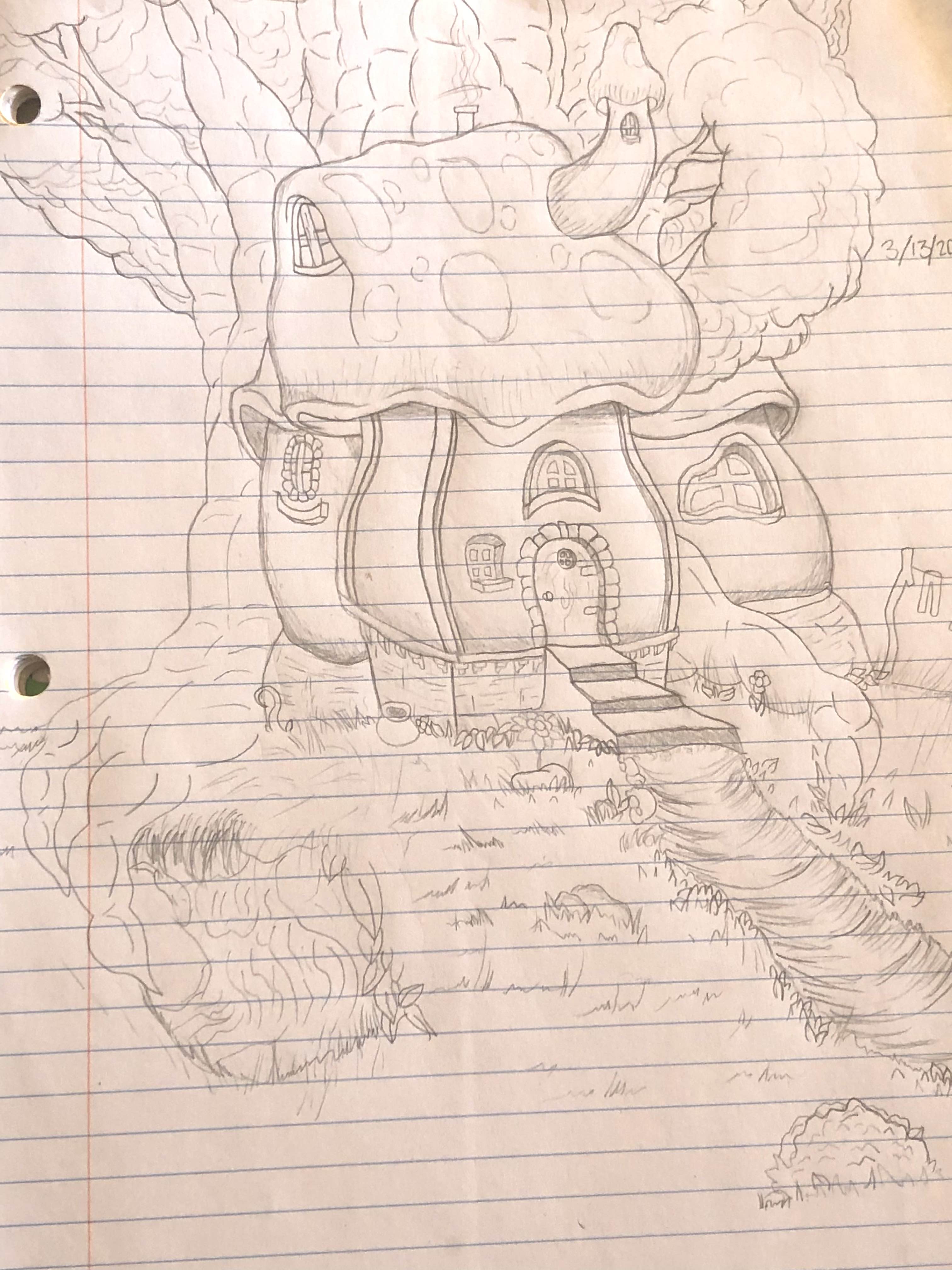 Image 5